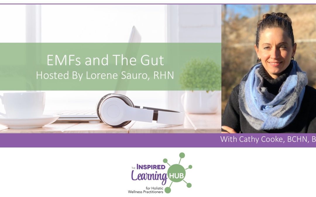 EMFs and The Gut